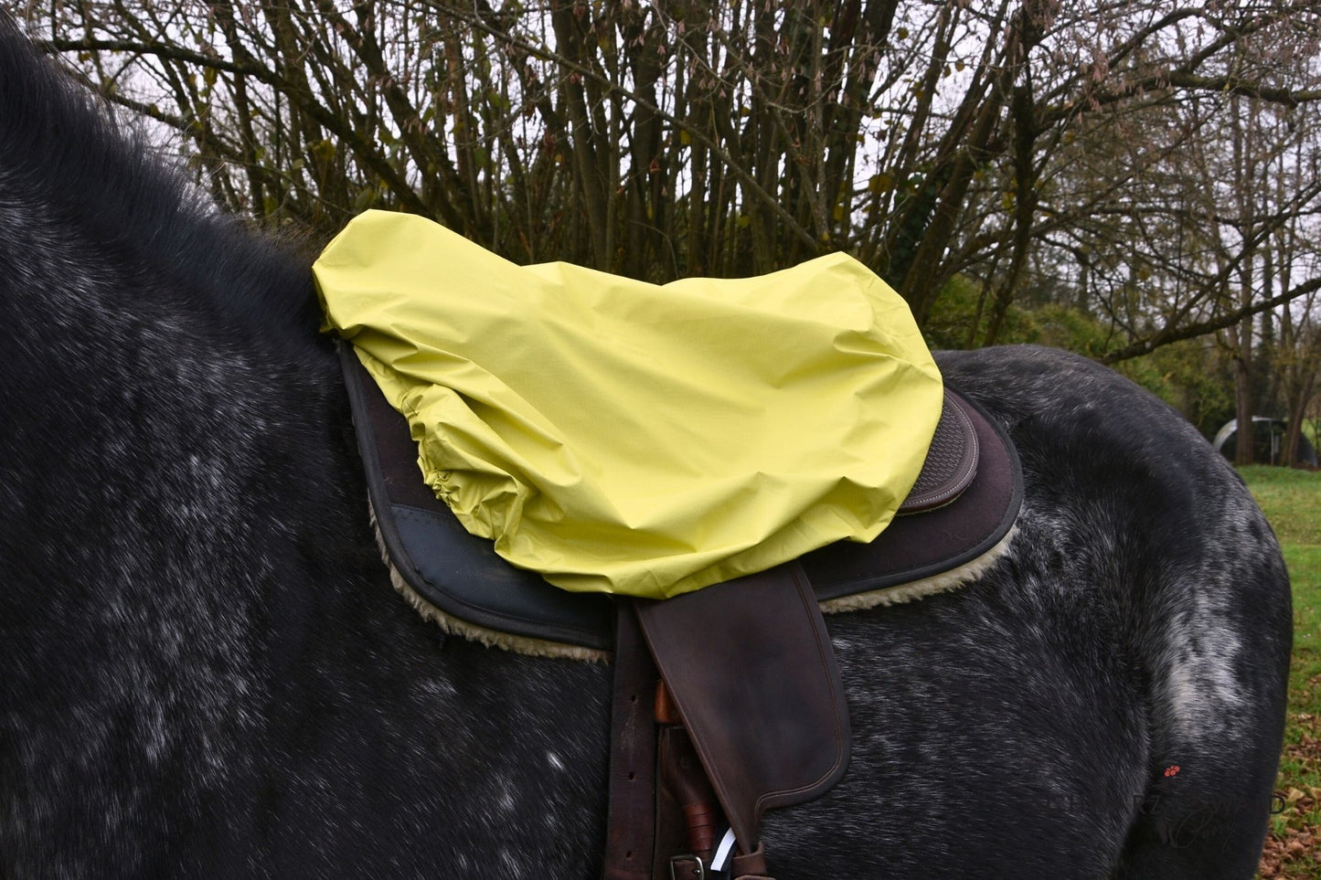 Regenschutz "Wolkenbruch" Westernsattel