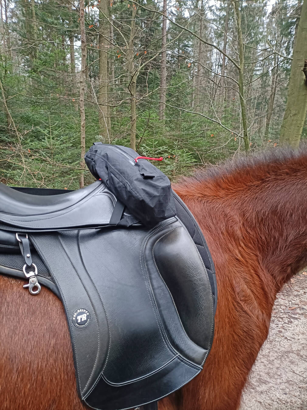 Satteltasche " Huckepack vorne oben "