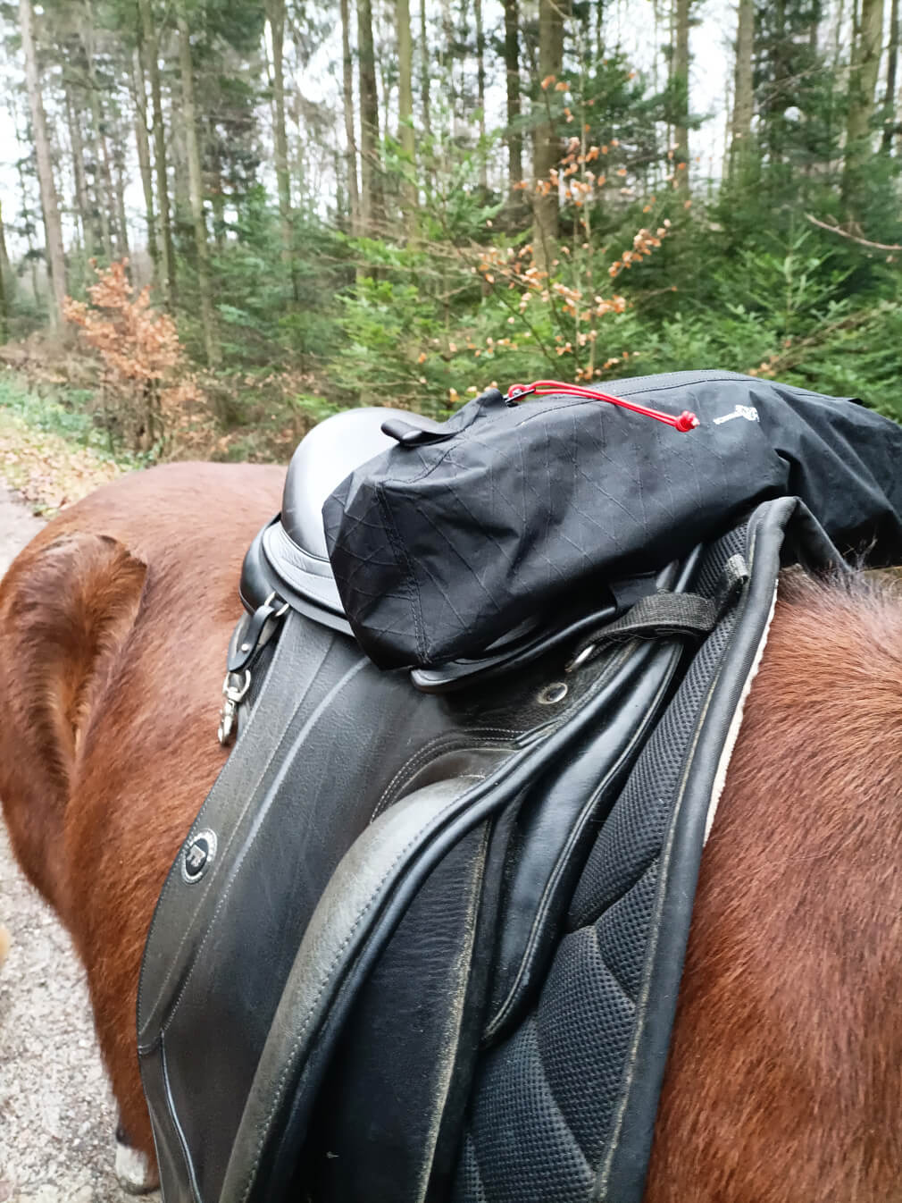 Satteltasche " Huckepack vorne oben "