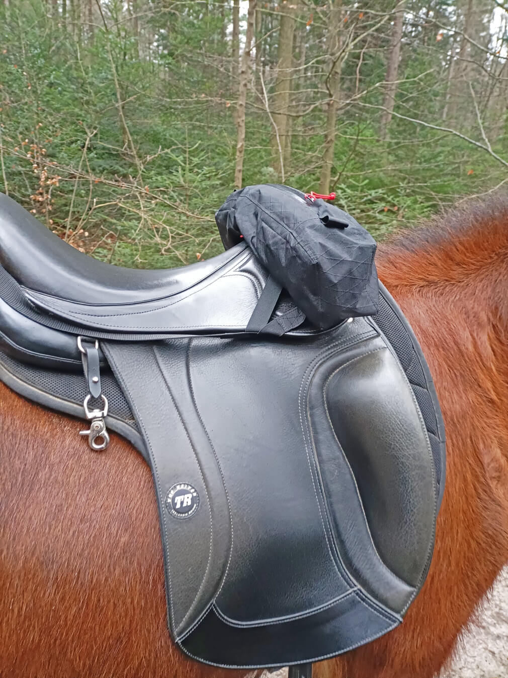 Satteltasche " Huckepack vorne oben "
