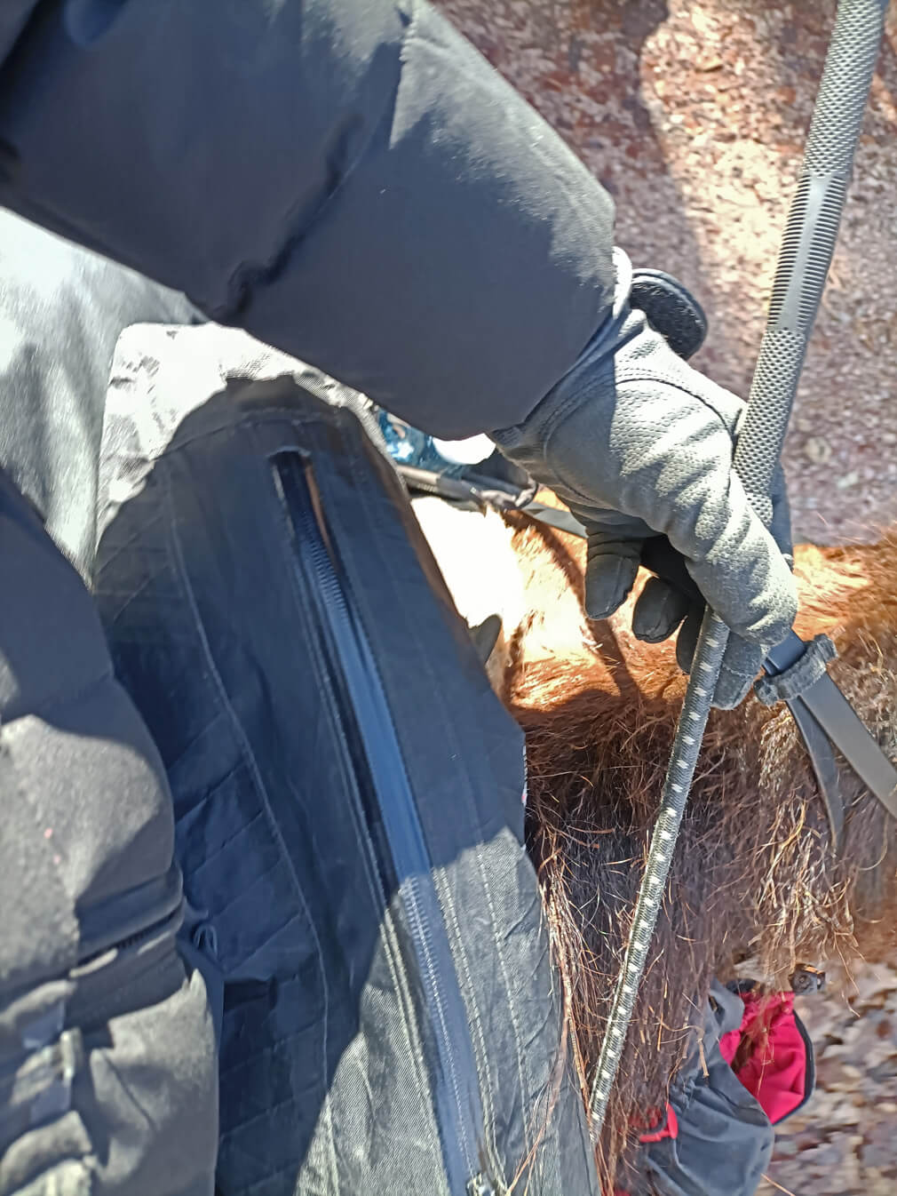 Satteltasche " Huckepack vorne oben "
