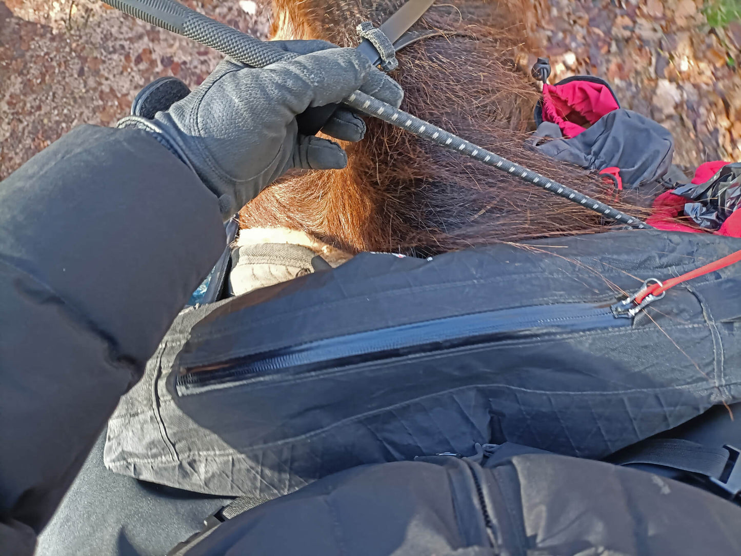 Satteltasche " Huckepack vorne oben "
