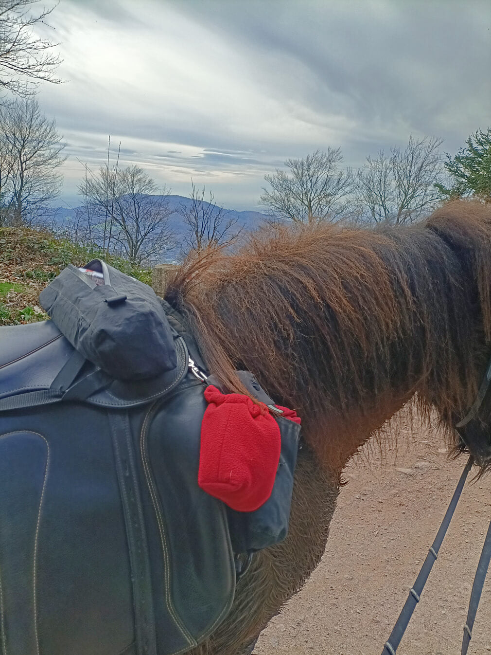 Satteltasche " Huckepack vorne oben "