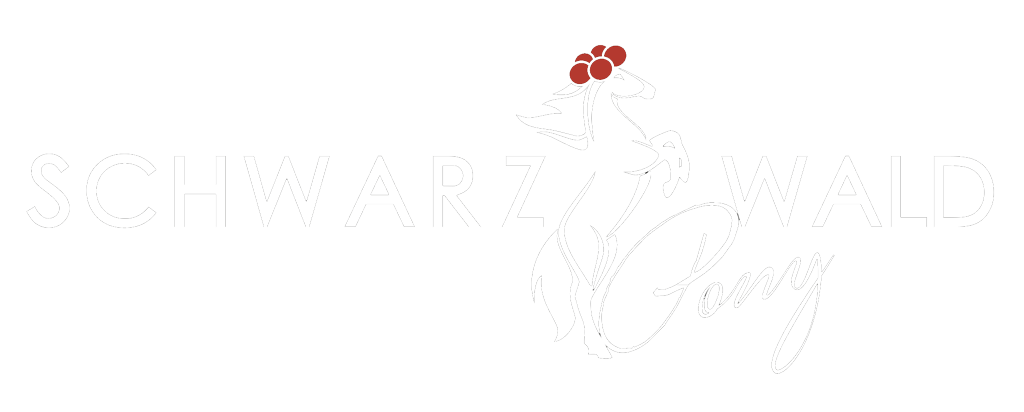 Schwarzwaldpony
