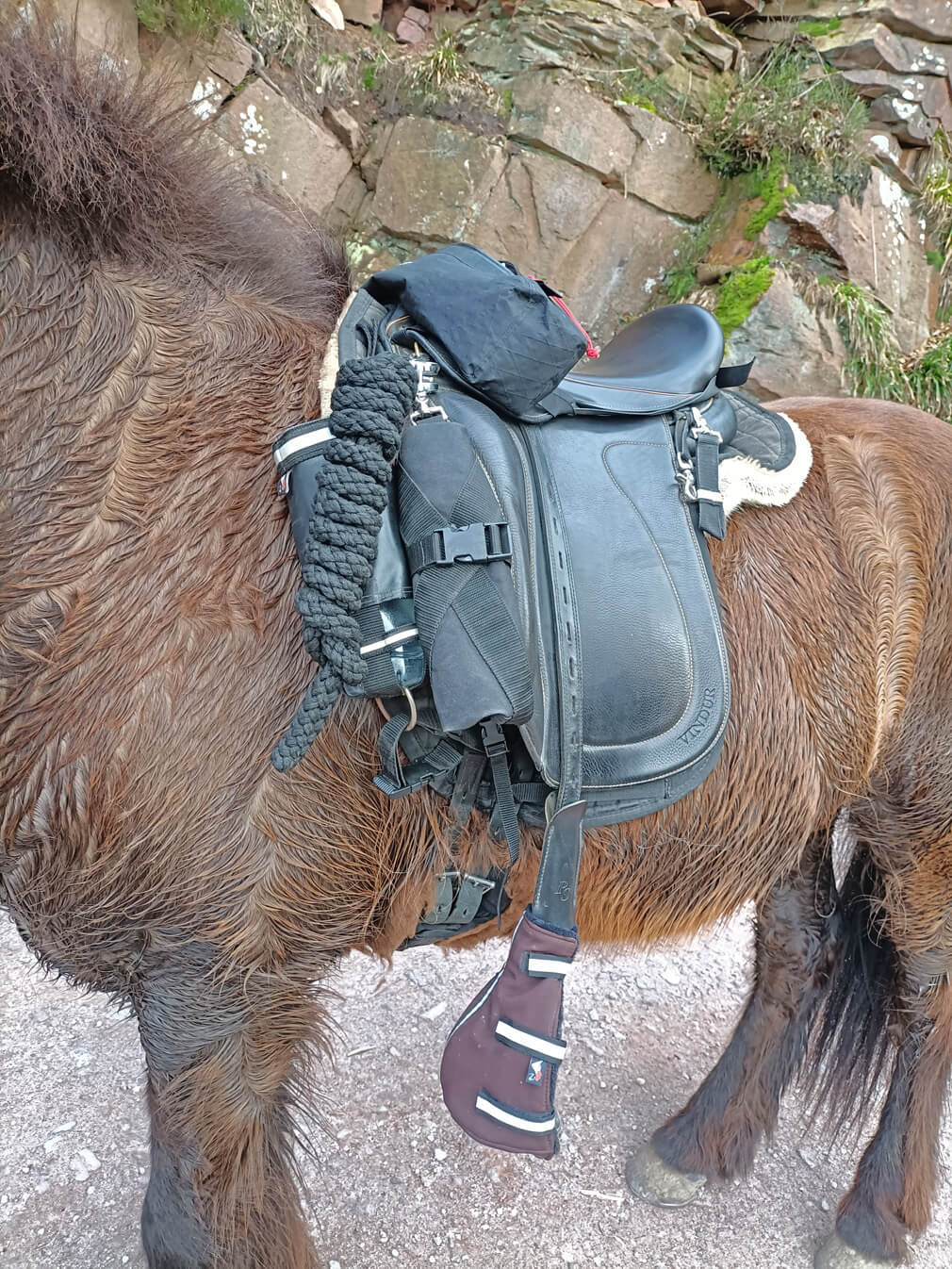 Satteltasche " Huckepack vorne oben "
