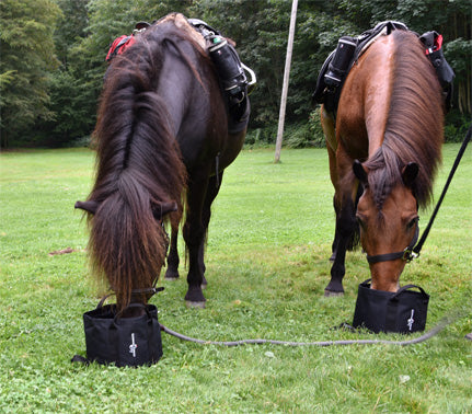 Falteimer "Waldzipfel" Pferd